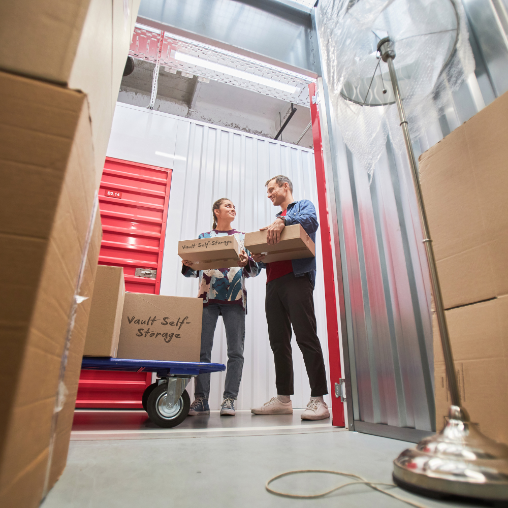 Vault 5 cp 9.13.25 Household Storage Palm Hills LA
